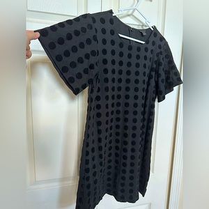 Ann Taylor Velvet Dot Shift Dress